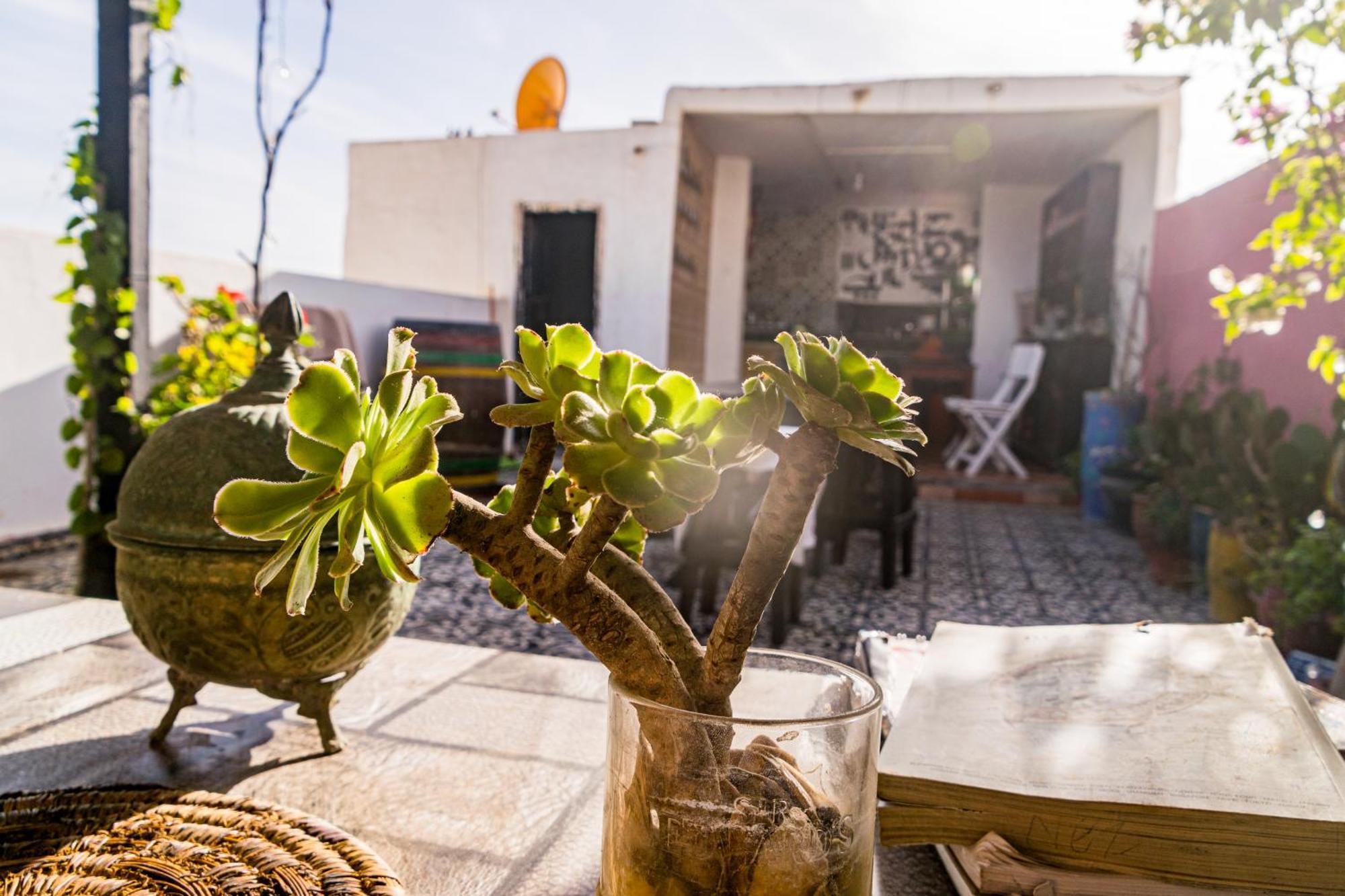 Essaouira Youth Hostel&Social Travel Exterior foto