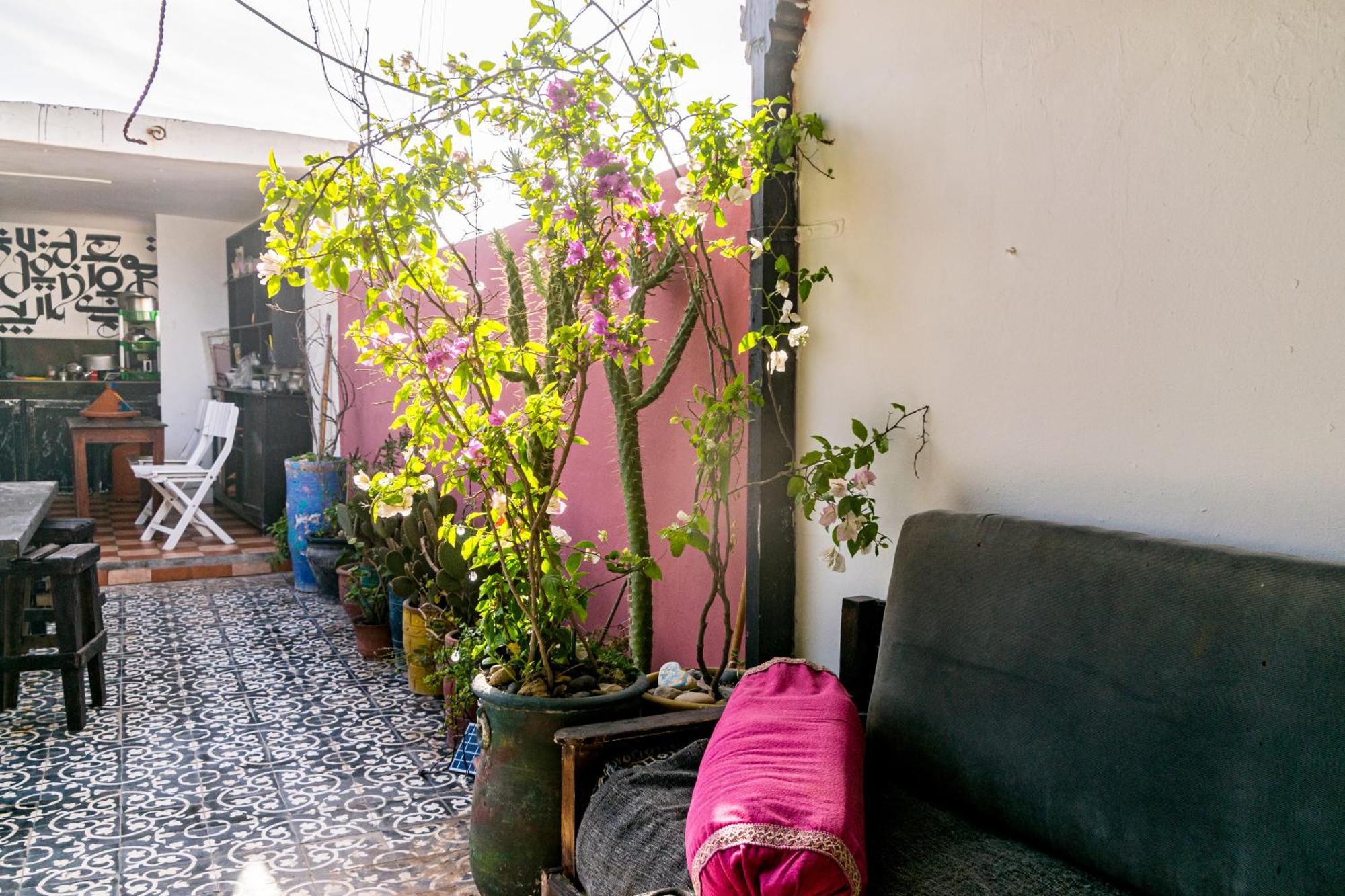 Essaouira Youth Hostel&Social Travel Exterior foto